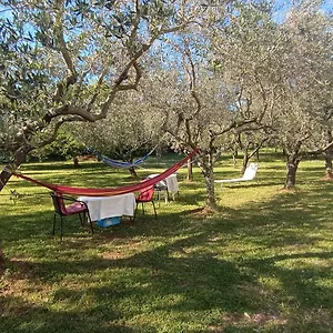 Apartament Gabriela, Poreč